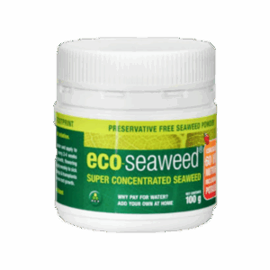 Eco Seaweed 100g