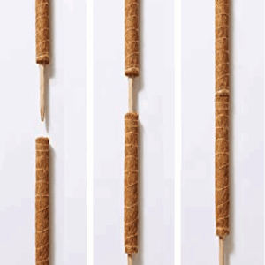 Cocopoles Coir Totem Plant Support (60cm)