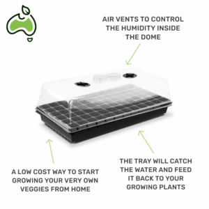 Mini Hothouse - 72 Cell Seedling Propagator