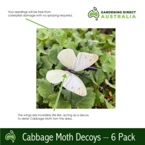 Cabbage Moth Decoys - 6 pack