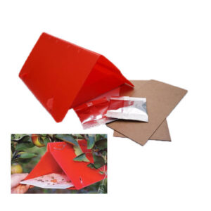 Codling Moth Trap with 3 lures and 3 sticky base replacements