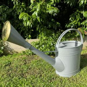 Heavy Duty Traditional Watering Can 9L