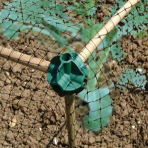 Cane connectors