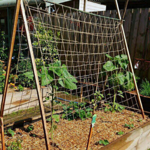 PEA AND BEAN NETTING 1.8M X 2.7M JUTE