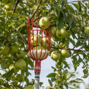 Long Reach Fruit Picker Head