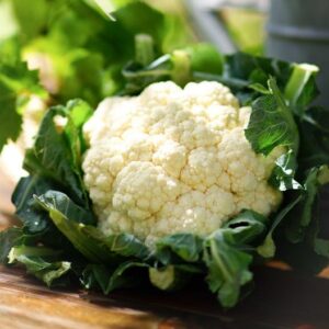 Cauliflower Y Snowball Improved Vegetable Seeds