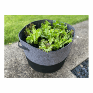 GEOFELT POTS - GROW BAG 53CM X 42CM