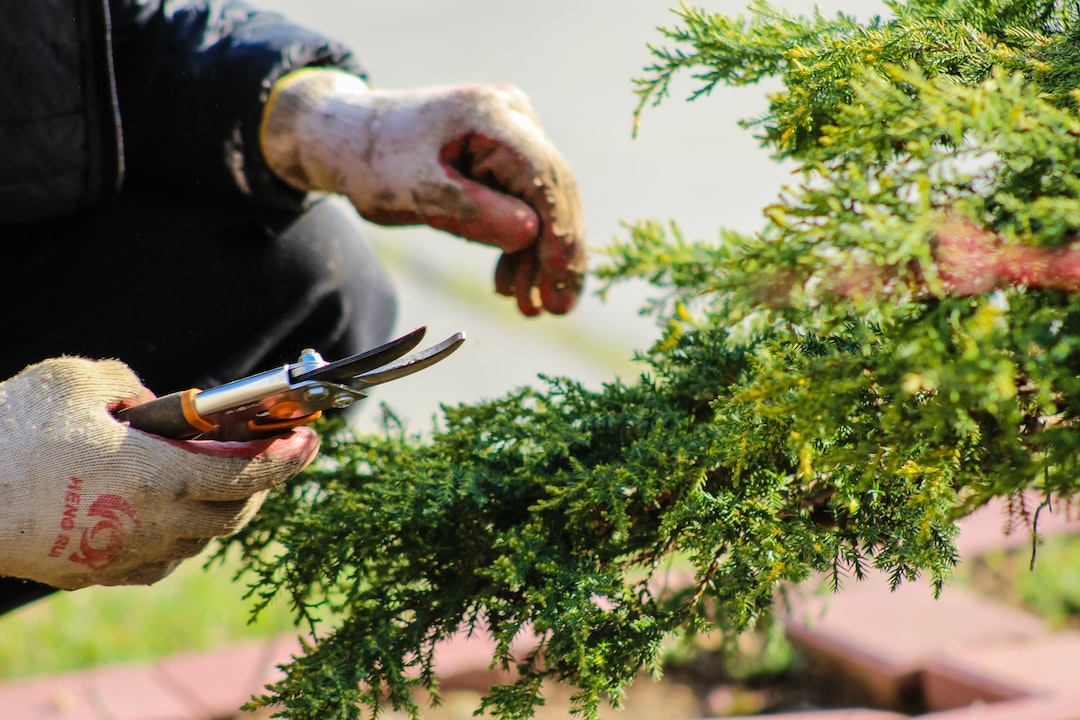 How Often Do You Need To Maintain Your Garden