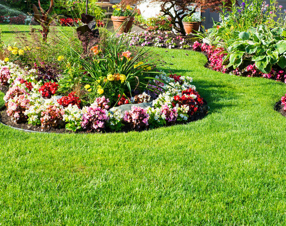Flower Bed with Garden Edging
