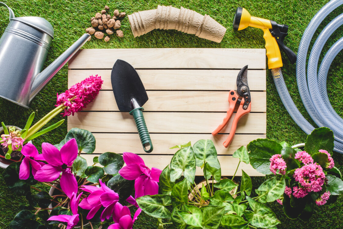 Gardening Needs