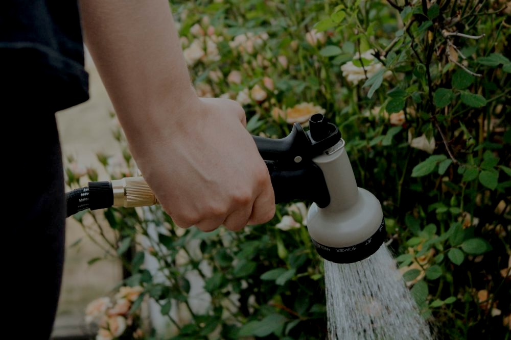 Garden Maintenance