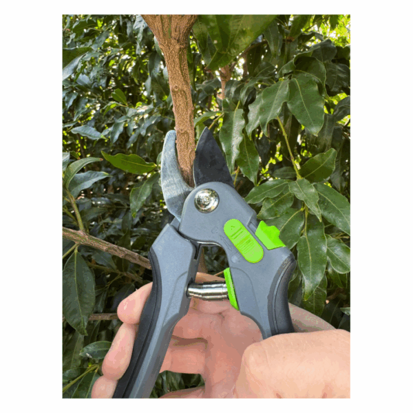 Secateurs