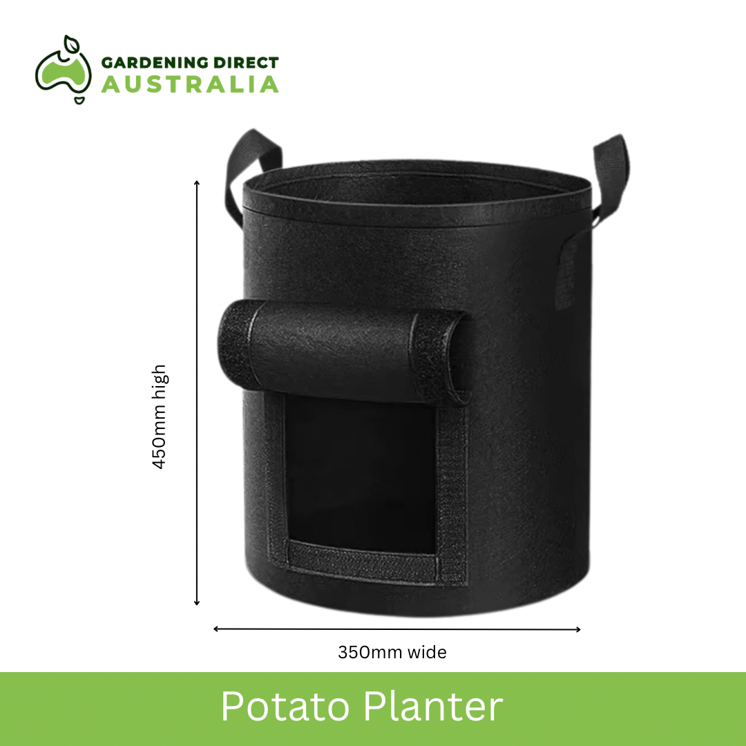 Potato Planter - Image 2