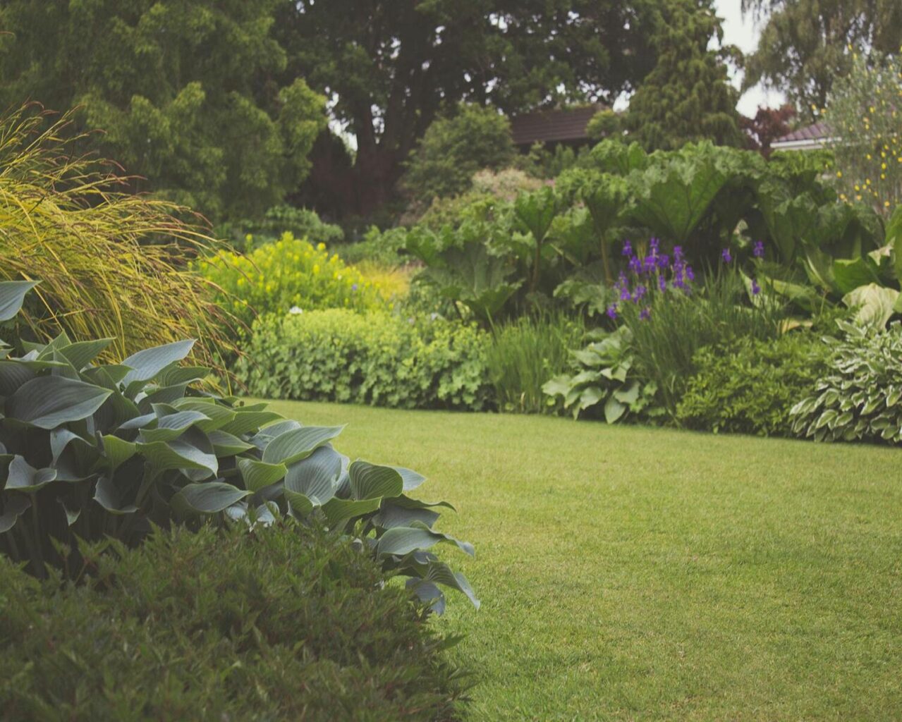garden Landscape