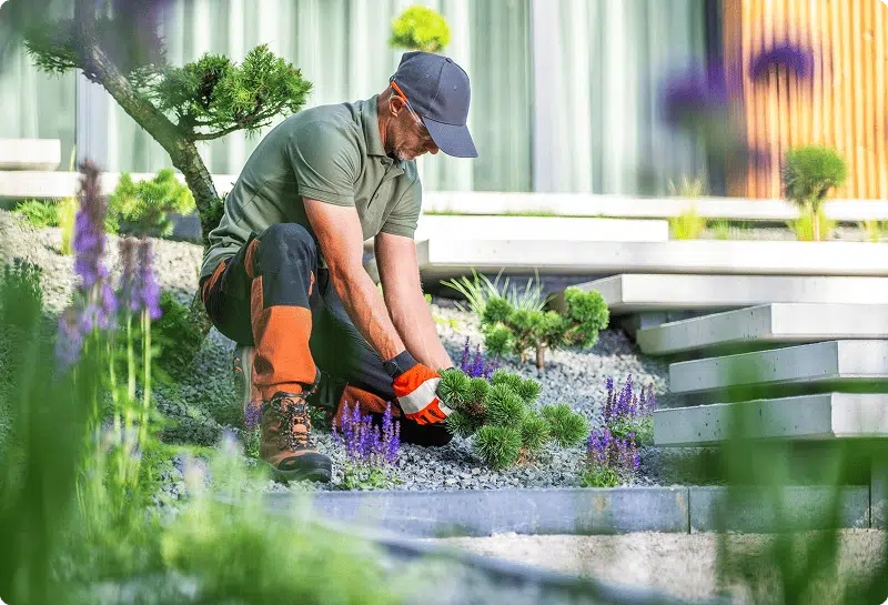 garden maintenance