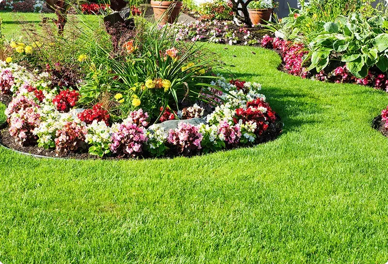 Garden bed edging defining a curved flower bed in a lawn