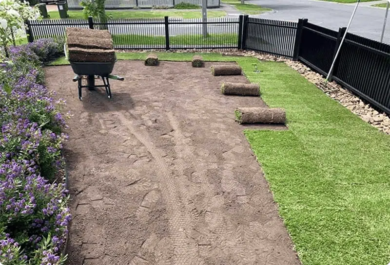 lawn installation