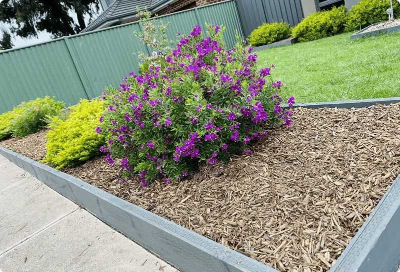 gardening services