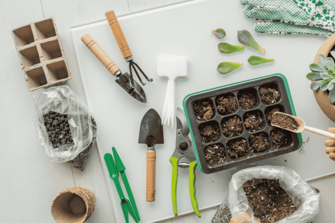 Top view of hands potting a small plant with soil, trowel, and gardening tools on a rustic table