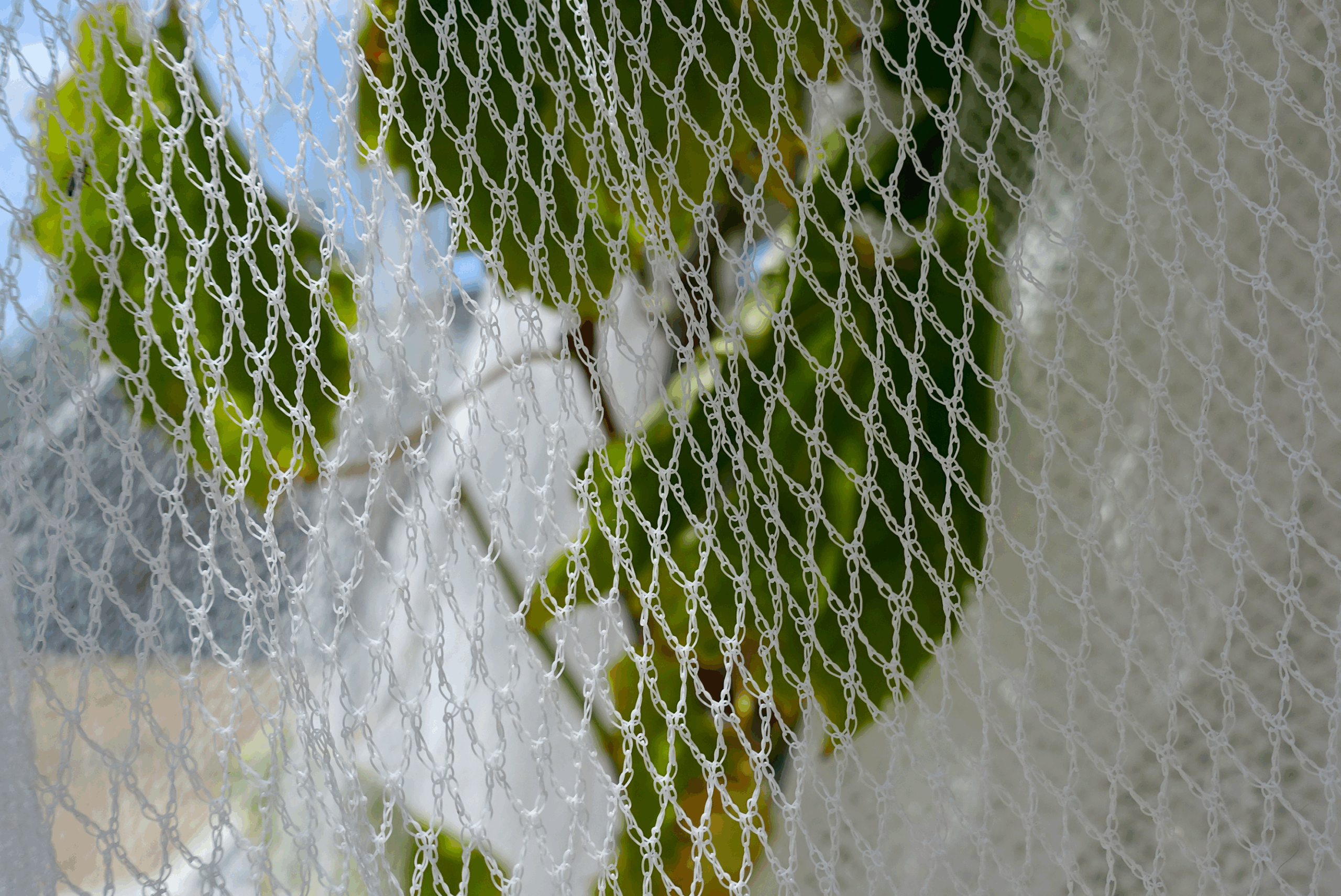 An image of a net use for to protect gardens from birds