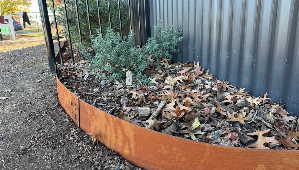 Curved Corten steel edging installed around a landscaped garden bed